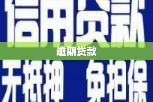 圣方济各堂区逾期贷款