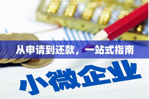 丹徒从申请到还款，一站式指南