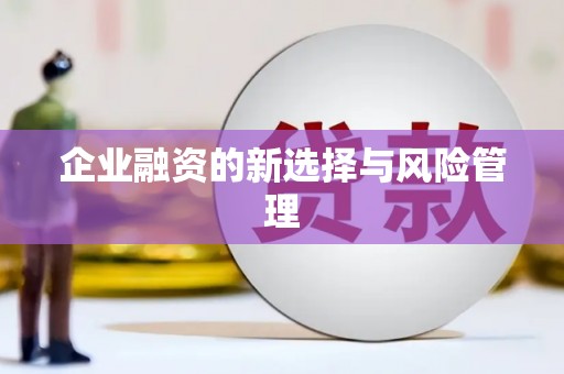 久治企业融资的新选择与风险管理