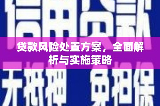蚌埠贷款风险处置方案，全面解析与实施策略