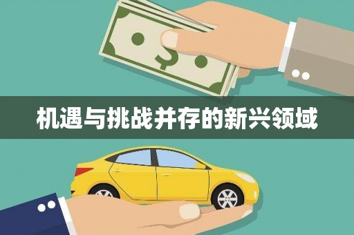 三台机遇与挑战并存的新兴领域