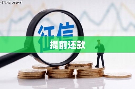 宏伟提前还款