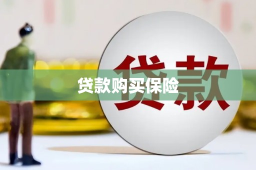 宜城贷款购买保险