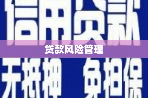 潼关贷款风险管理