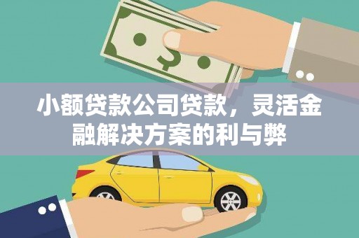 树林小额贷款公司贷款，灵活金融解决方案的利与弊