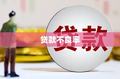 禅城贷款不良率